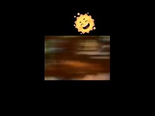 video from telegram