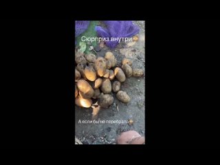 video by eavesdropped sassovo